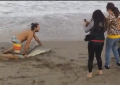 Vídeo flagra homem arrastando tubarão na areia para tirar fotos, nos EUA