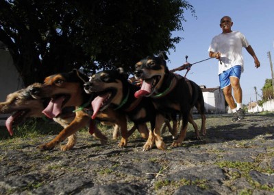 Da cama à mesa: eles fazem absolutamente tudo com seus cachorros