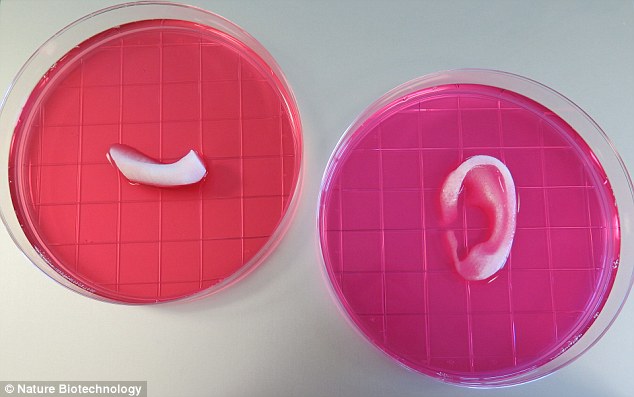 Equipe de estudantes desenvolve orelhas humanas a partir de impressoras 3D