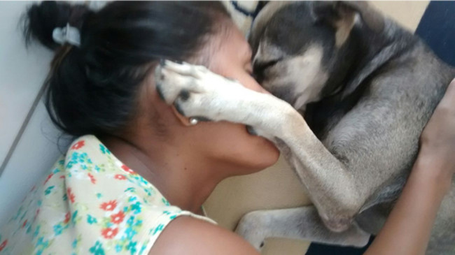 Após 7 meses, recifense reencontra cão em feira de adoção