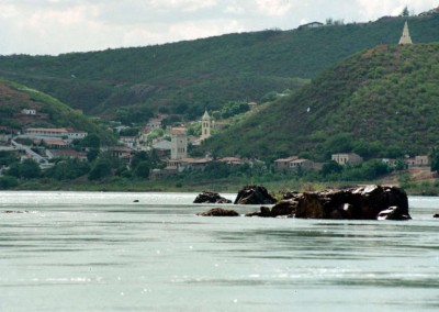 Piranhas atacam banhistas no Rio São Francisco para proteger filhotes