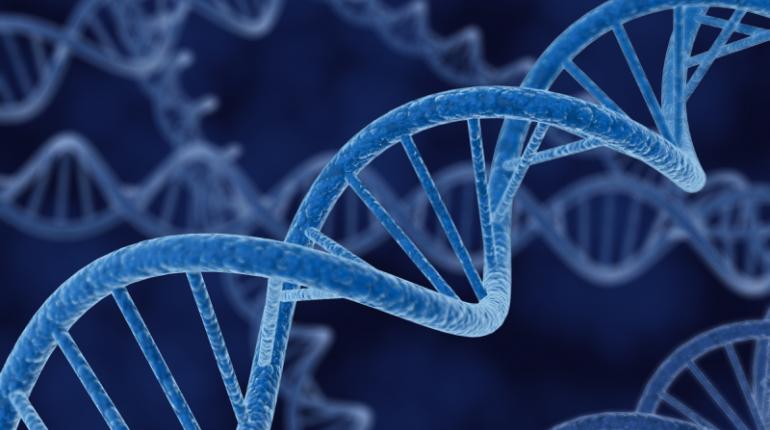 Estudo identifica genes ativos até 4 dias após a morte