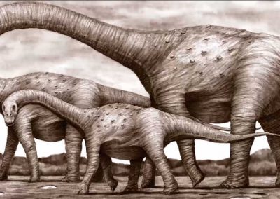 Dinossauro nordestino é identificado por cientistas da UFPE