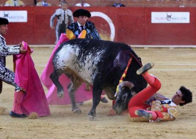 Toureiro é morto a chifradas, ao vivo na TV, na Espanha
