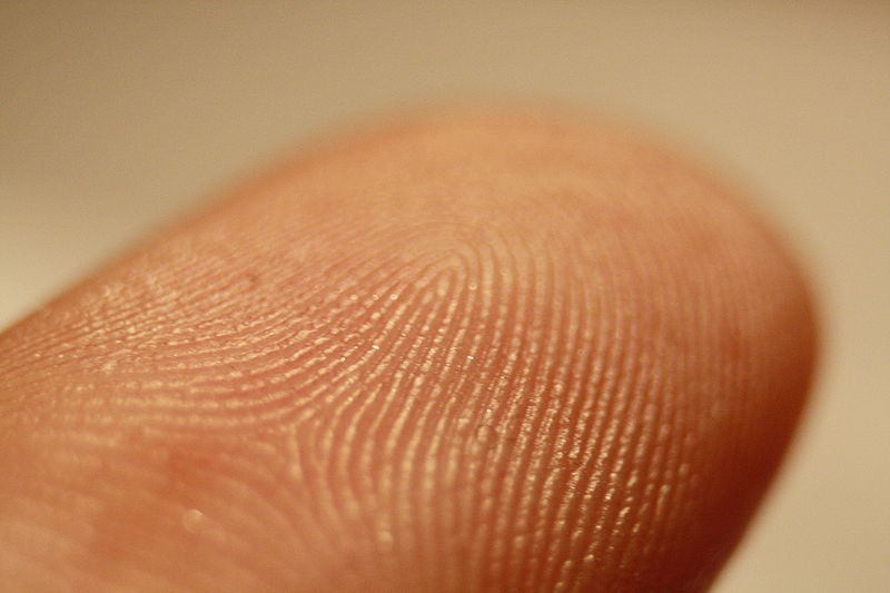 Polícia faz dedo em impressora 3D para desbloquear celular de suspeito de crime