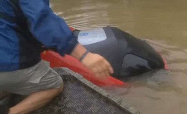 Vídeo: Em inundação, carro afunda e moradores salvam mulher