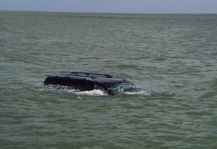 Motorista encontra rato no carro e joga veículo dentro d’água