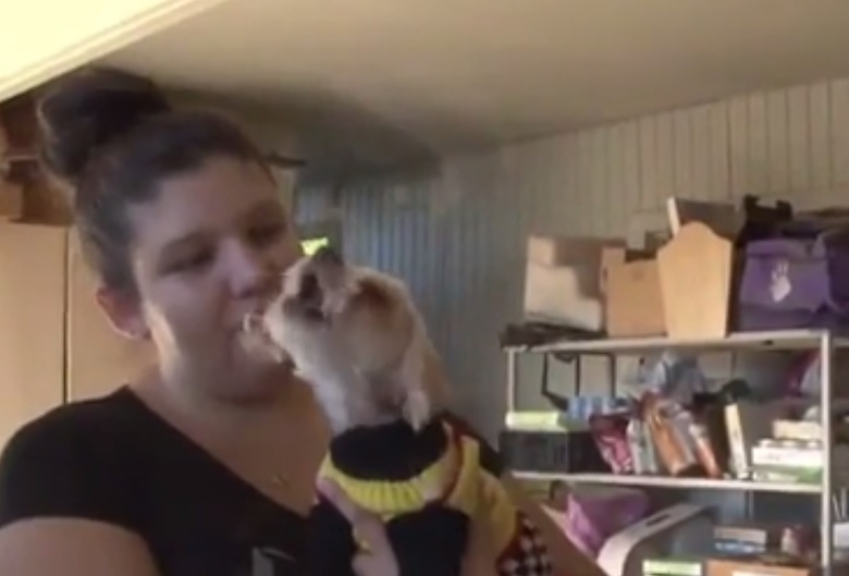 Cãozinho é encontrado por dona após 9 anos sumido