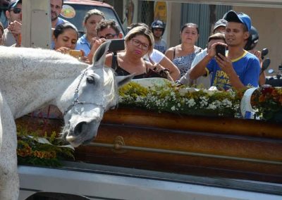 Cavalo emociona ao se despedir de dono em enterro