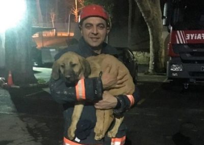 Força-tarefa resgata cachorro em poço de 70 metros