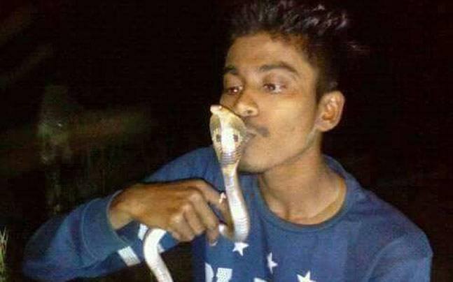 Homem morre após tentar tirar foto beijando cobra