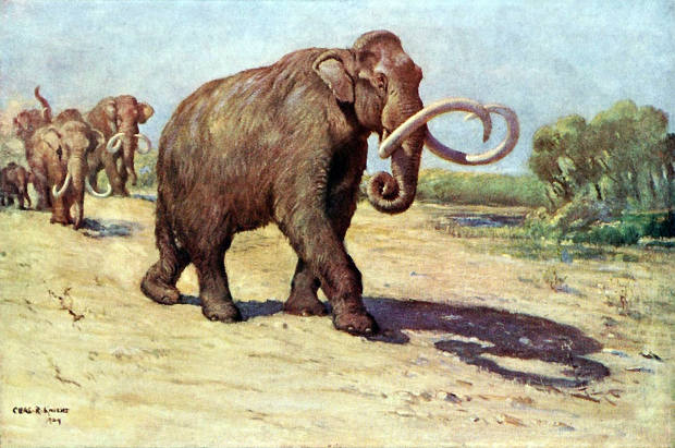 Cientistas pretendem “ressuscitar” mamute até 2019