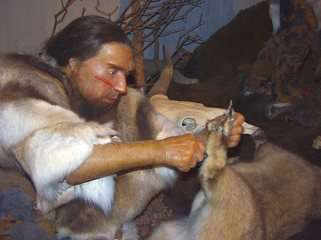 Grupo de neandertais era vegetariano e já utilizava medicamentos