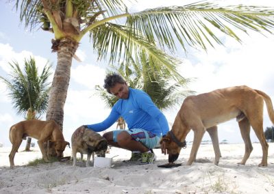 Resgate de animais abandonados: dedicação do começo ao fim