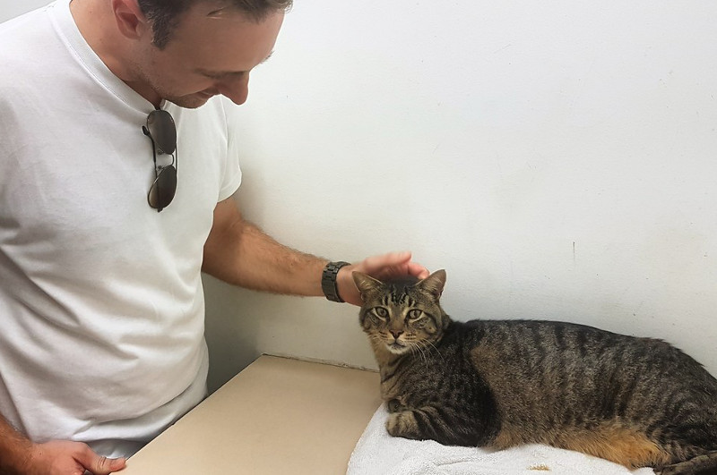 Após 11 anos, dono encontra gato de estimação perdido