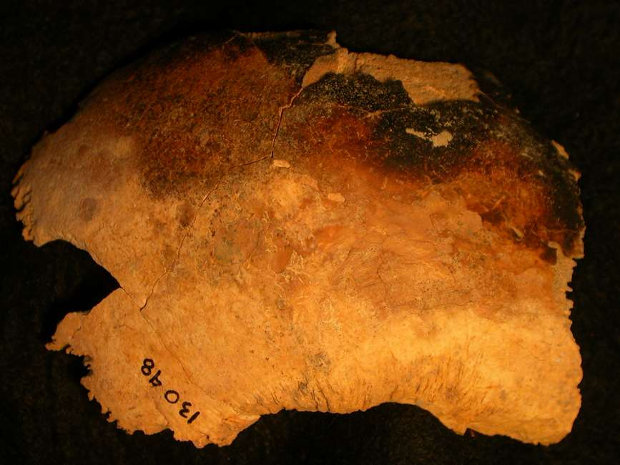 Parte de crânio com sinais de carbonização, encontrado em Wharram Percy - Historic England/Reprodução