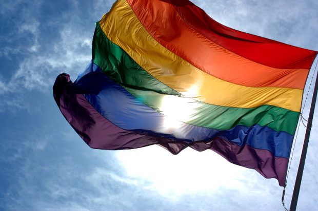 Criador da bandeira LGBT morre aos 65 anos