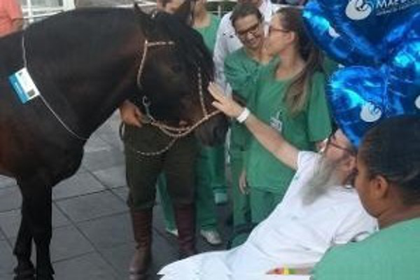 Aposentado recebe alta do hospital após visita do cavalo de estimação