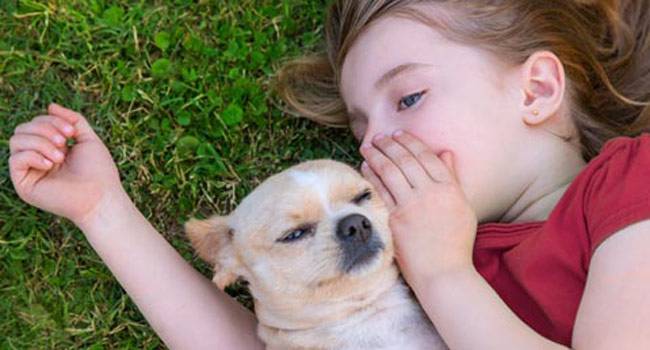 Falar com animais e objetos é sinal de inteligência social, diz estudo