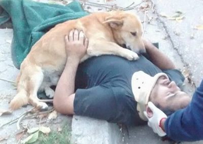 Cachorro se recusa a deixar dono após homem sofrer acidente