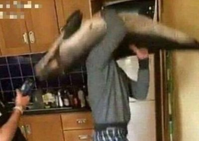 Homem gera revolta ao dançar com golfinho morto