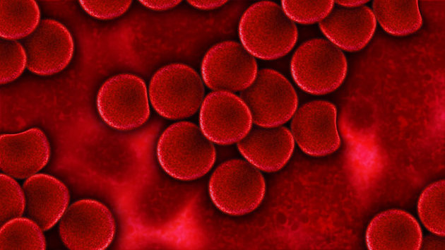 Cientistas estão prestes a conseguir produzir sangue ilimitado