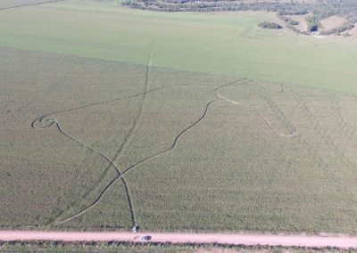 Agrônomo desaparece após deixar sinais em plantação