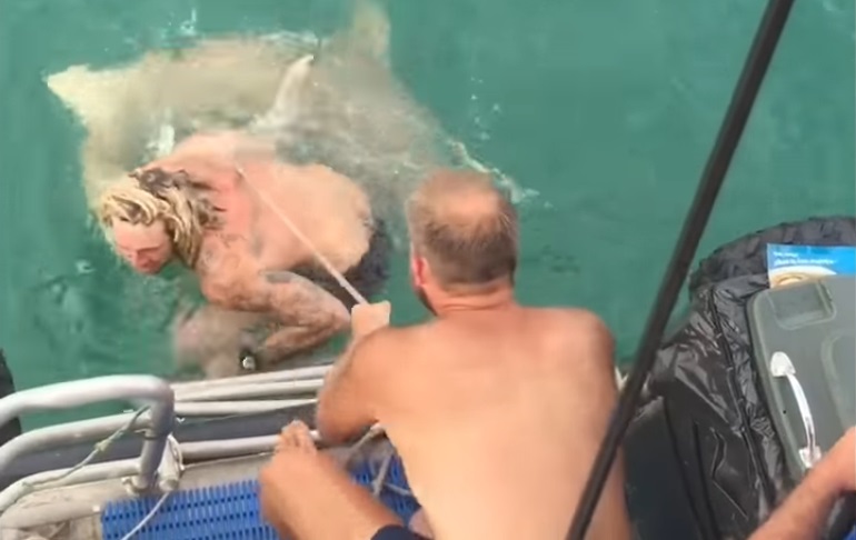 Homem é mordido ao tentar capturar tubarão à mão
