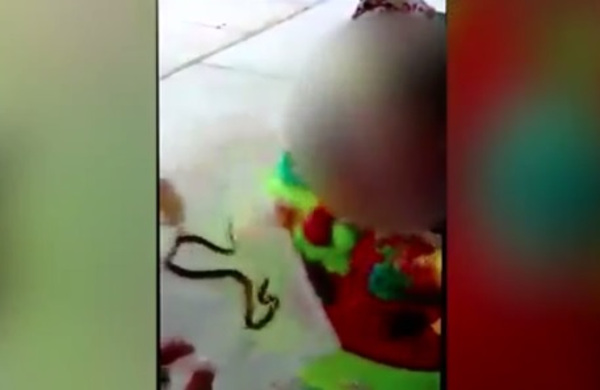 Em vídeo, mulher deixa filha de apenas um ano ser mordida por cobra