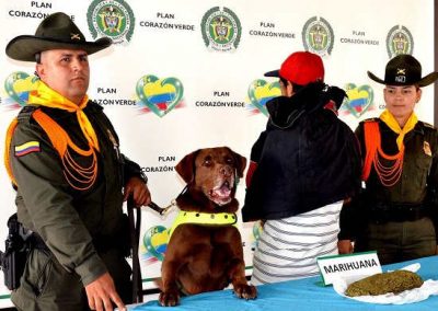 Cão farejador tem cabeça colocada a prêmio por narcotraficantes