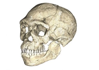 Espécie humana é 100 mil anos mais antiga do que se pensava