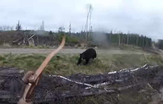 Caçador filma momento em que é atacado por urso