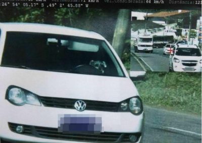 Radar de velocidade fotografa cão ao volante de carro