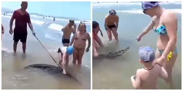 Homem é preso por levar crocodilo de estimação para passear na praia