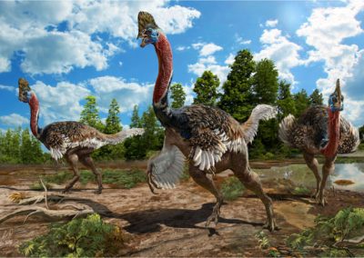 Cientistas acham fóssil de dinossauro com crista e plumas