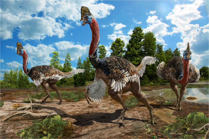 Cientistas acham fóssil de dinossauro com crista e plumas