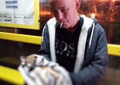 Cão morre após pet shop recusar atendimento por falta de pagamento