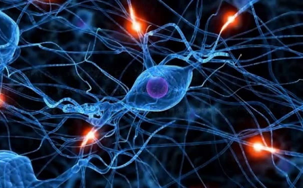 Cientistas acreditam ter descoberto droga capaz de parar o Alzheimer