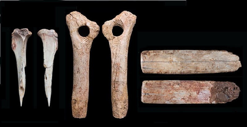 Homens das cavernas canibais faziam decoração usando ossos de vítimas, diz estudo