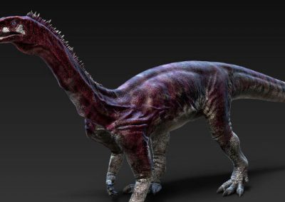 Dinossauro brasileiro teria sido carnívoro, aponta fóssil