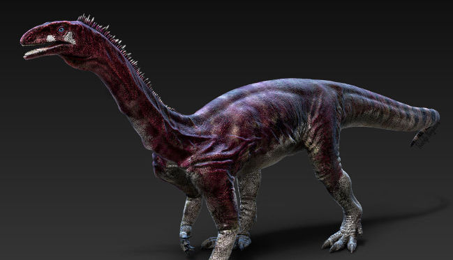 Dinossauro brasileiro teria sido carnívoro, aponta fóssil