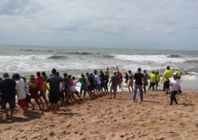 Banhistas tentam desencalhar baleia em praia e dois deles acabam feridos