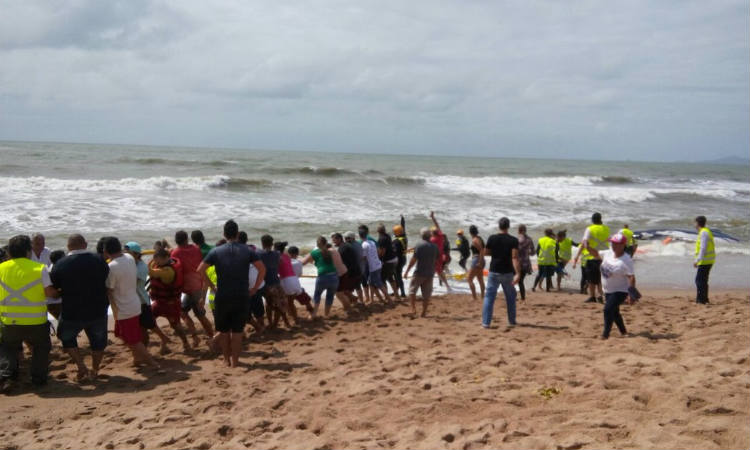 Banhistas tentam desencalhar baleia em praia e dois deles acabam feridos