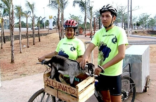 Casal viaja pelo Brasil de bicicleta com cabrita de estimação