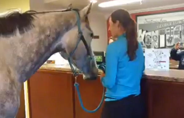 Harmony Horsemanship / Facebook Harmony Horsemanship / Facebook