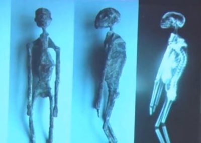 Múmias de formas intrigantes geram teorias de nova espécie e até aliens