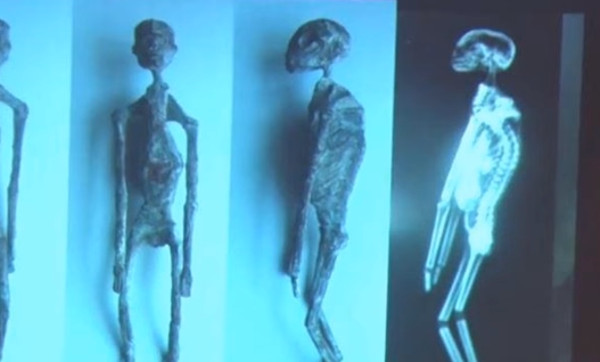 Múmias de formas intrigantes geram teorias de nova espécie e até aliens