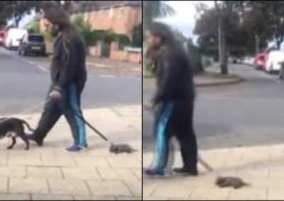 Após arrastar filhote de cachorro desmaiado em coleira, homem é multado
