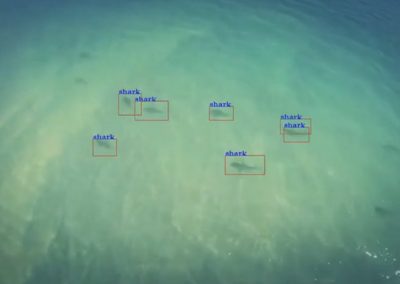 Câmeras especiais de drones são usadas em  praias para localizar tubarões próximos de banhista