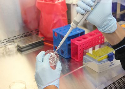 Descoberta proteína capaz de deter proliferação de vírus no corpo humano